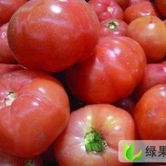 聊城西红柿质优价廉
