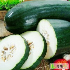 河南沁阳铁冠军冬瓜：崇义镇翟先生