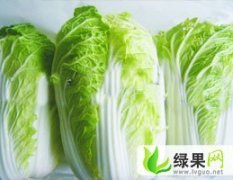 辽宁凌海秋宝大白菜：凌海周东润