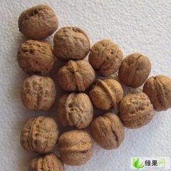 陕西韩城新2核桃：龙亭镇薛