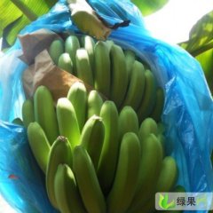 广西武鸣威廉斯：锣圩镇潘权