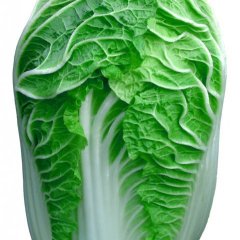 湖北嘉鱼青杂三号：湖北省金维柏