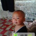 黑龙江勃利地雷瓜：新民村迟波