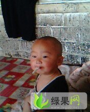 黑龙江勃利地雷瓜：新民村迟波