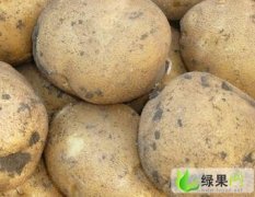 吉林扶余延薯四号：三岔河王传成