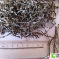 河北藁城海带丝：梅花镇胡经理