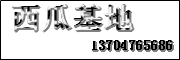 内蒙古阿鲁科尔沁旗西瓜基地