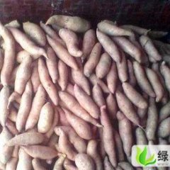 河北饶阳龙署九号：河北省艾世杰