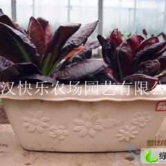 江苏灌云农场集装箱1号：7组