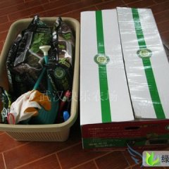 江苏新浦农场集装箱1号：7组青菜