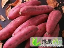 河北南宫龙署九号：段头镇赵长英