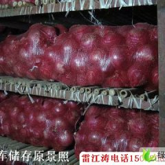 河北藁城红皮洋葱：南营镇雷江涛