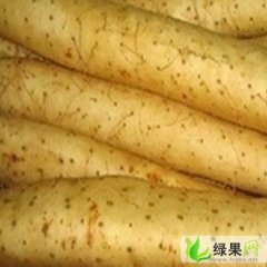 河北大名白玉山药：张集乡贾海涛