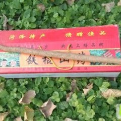 山东巨野鸡皮铁棍山药：龙固镇黑玉函