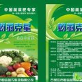 河北高邑一棵一片：城东工徐建辉