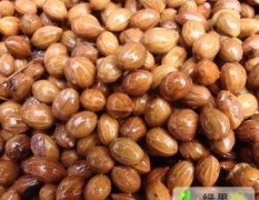 山西绛县供应优质流苏种子