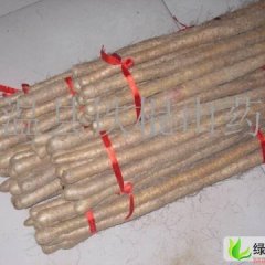 山东曹县铁棍山药：楼庄乡王女士