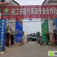 湖北枝江宜昌蜜桔：高速路口