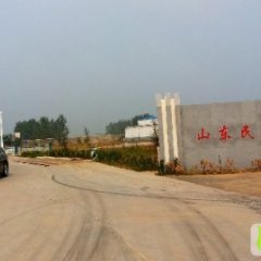 山东民康食品优质洋葱1000吨