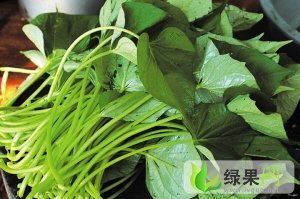 山东费县地瓜叶，地瓜梗：薛庄镇高占峰