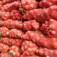 甘肃永昌圆葱（卡木一）洋葱：朱王堡王世清