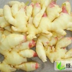 山东安丘长白大葱：凌河王发