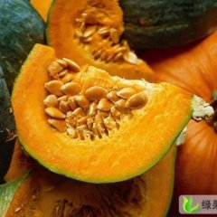 山西神池黑皮南瓜等：贺职乡池俊杰