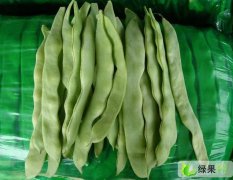 山东昌乐油豆：扁青大量上市