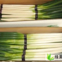 山东安丘长白大葱：赵戈镇李先生