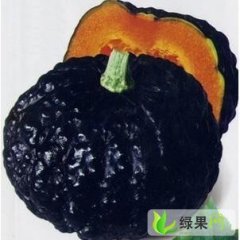 山西神池黑皮南瓜：小东湾姚志强