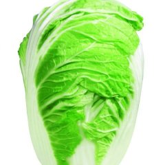 河南通许夏阳：十字路王小东