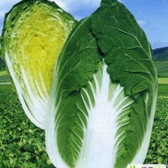 河北蔚县凌峰：草沟堡耿美丽