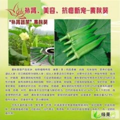 广东霞山伟哥黄秋葵：工农路小陈