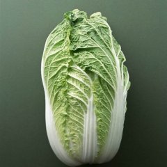 河北蔚县金峰：草沟堡宋玉彪