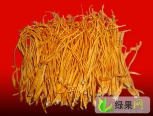 辽宁于洪北虫草鲜品：沈阳市杨奇睿