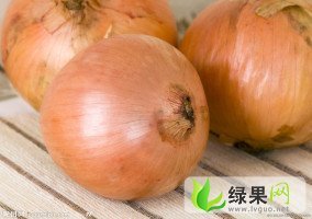 甘肃民勤黄皮洋葱：薛百乡陈永明