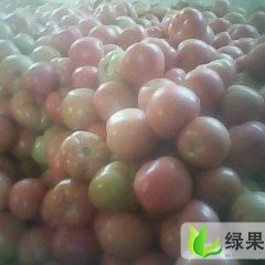 河南延津祥瑞：辛庄村周瑞峰