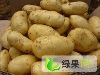 内蒙古牙克石荷兰十五：免渡河丁志华