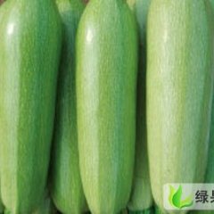 河南扶沟优质蔬菜红罗卜.娃娃菜：宏兴瓜栾铁岗