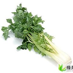 陕西泾阳美国西芹：云阳镇 赵剑