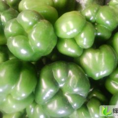 甘肃甘州园椒：南关菜市场王荣供应园甜椒