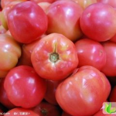 河北饶阳粉多纳：饶阳李运华