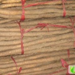 山东巨野铁棍山药：章缝镇商