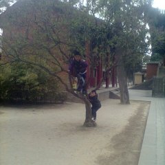 陕西泾阳格福：高村一吕小卫