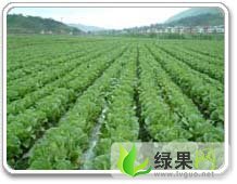 河北清苑北京新三号：清凉城李赛