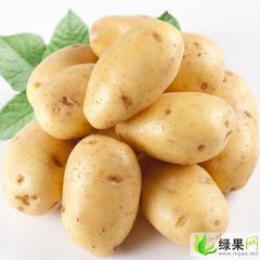 内蒙古察右前旗克新一号：前期一陈先生