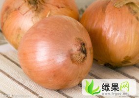 甘肃民勤黄皮洋葱：薛百乡严雄义