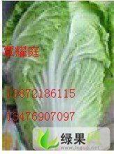 湖北嘉鱼青杂三号：潘湾镇覃耀庭