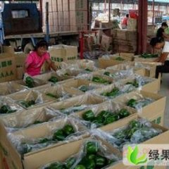 河南夏邑巨无霸：河南省韩守阳