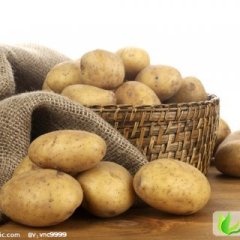 内蒙古牙克石荷兰七号：金满地白文